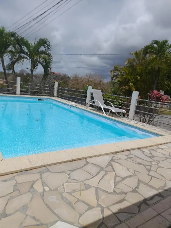 Coconing Logements Studios Et Maisons Sainte-Anne